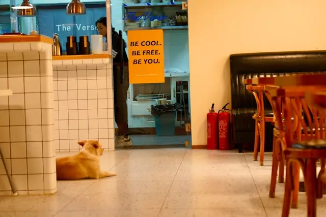 pet friendly cafe hua hin